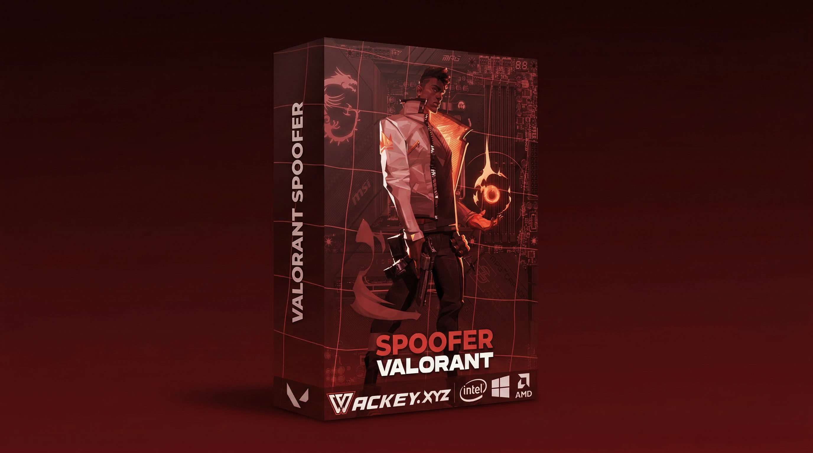 Valorant Spoofer: Lifetime
